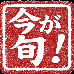 【本日のおすすめ】~日替わり~