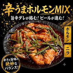 辛うまホルモンM IX
