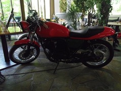 エル・バローロの雰囲気3