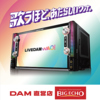 ビッグエコー BIG ECHO 広小路店 カラオケ