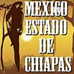 オーガニック・メキシコ