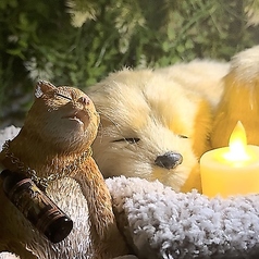 Oto樹の特集写真