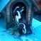 ペンギンのいるダイニングバー沖縄 のスタッフ2
