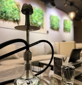 eN エン Shisha Lounge in Akasaka
