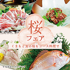 火蓮かれんのコース写真