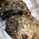 しゃぶしゃぶ すき焼き 宍倉 西新宿のおすすめ料理2