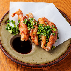 ジューシー鶏皮餃子