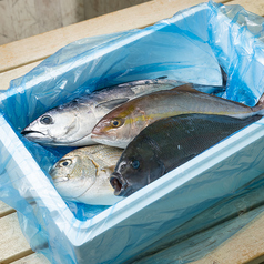 ソウルメイトビーチ 西新宿のおすすめ料理1