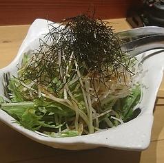 ハリハリサラダ