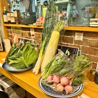 横須賀の地場野菜を使用しています！