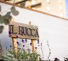 アラカルト料理