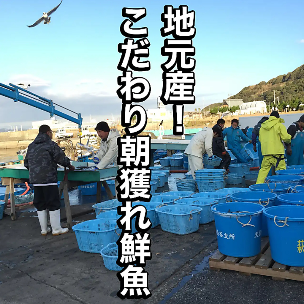 地元漁港直送！最高鮮度と安値を実現した「江戸前オイスター」は都心では味わえない超高級食材。