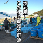 地元漁港直送！最高鮮度と安値を実現した「江戸前オイスター」は都心では味わえない超高級食材。