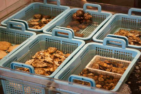 沼津魚がし鮨 二代目魚がし 御殿場店 御殿場 創作料理 ネット予約可 ホットペッパーグルメ 沼津魚がし鮨 二代目魚がし 御殿場店 御殿場 創作料理 ネット予約可 ホットペッパーグルメ