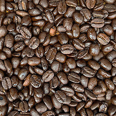 遠方近方のおすすめ料理1