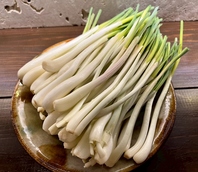 沖縄から直送の美味しい食材