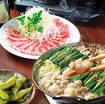 宴会飲み放題無制限　はかた料理専門店 はかた商店　日暮里店