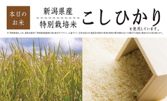 天ぷら天清 ららぽーと沼津店の写真