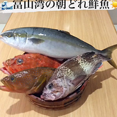 名古屋コーチン 十六夜 富山のおすすめ料理2