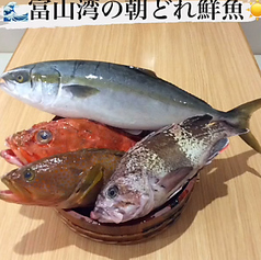 名古屋コーチン 十六夜 富山のおすすめ料理2