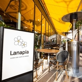 Lanapia（ラナピア）Hawaiian cafe & diningの雰囲気3