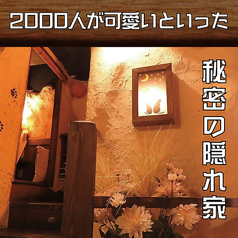3013~6本GnaiDoto,fonto検索.7月末休店買ってね！ 秘密の隠れ家イタリアン GATTO NERO（ガットネーロ） 鹿児島天文館店