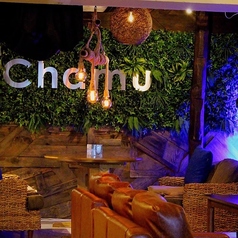 【創作ビストロ】柏の隠れ家居酒屋　Chamu‐チャム‐の写真3