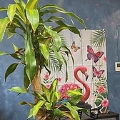 FOOD BAR & MUSIC FLAMINGO CAFE フラミンゴカフェ