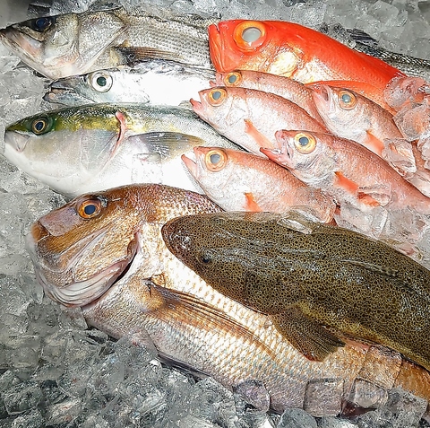 【神田駅西口徒歩2分】新鮮な魚介類や40種類以上の日本酒をご堪能ください