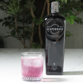 intellctuary アンテレクチュアリーの雰囲気3