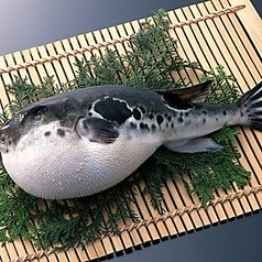 旬菜 和彩美のコース写真