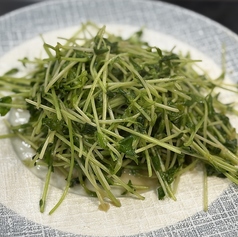 豆苗のさっぱり炒め