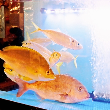 浜焼き海鮮居酒屋 大庄水産 水道橋店の雰囲気1