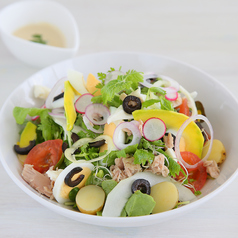 大原野菜で南フランスの郷土料理、サラダニソワーズ