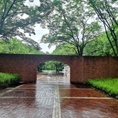 伊太利食房 ZenZero 神宮店の雰囲気2