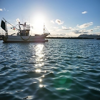 毎日仕入れ◆市場直送の”極”新鮮!!自慢の海鮮に酔う