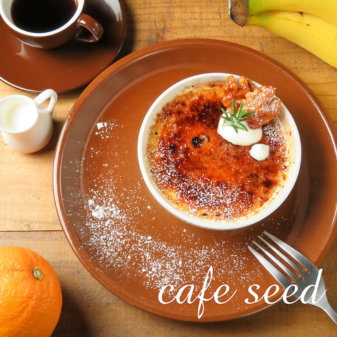 cafe seed image