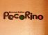 ペコリーノ 岐阜のロゴ