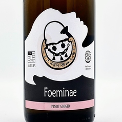 【オレンジ】フォエミネ・ピノグリージョ 2023