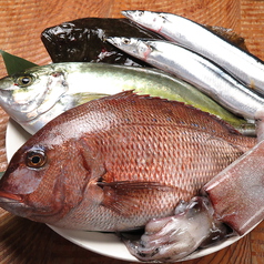 旬の新鮮魚介を使用☆