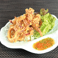 プラムックトード