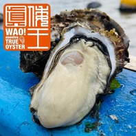 カキノバルオリジナルオイスター！