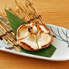 どんこ椎茸