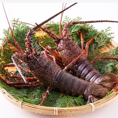 日本料理 彩月のコース写真