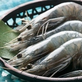 鮮魚と焼鳥ともつ焼き すみび大和店のおすすめ料理1