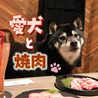 焼肉 IWAいわ 新大久保新宿店のおすすめポイント2