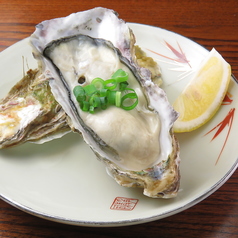 新鮮な海の幸を味わう！ぷりぷりの生牡蠣をご用意！の写真