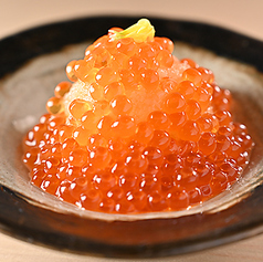 日本酒と和食 花びしのコース写真