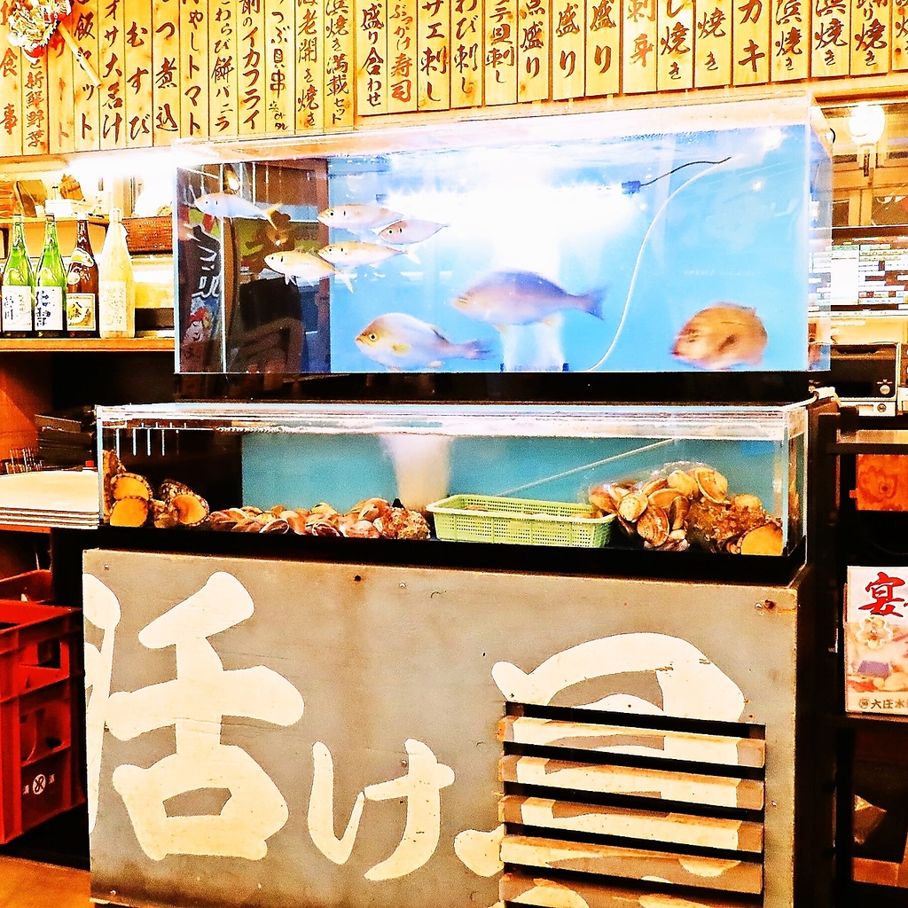 入り口を開けると魚がお出迎え！新鮮活魚を捌きます！