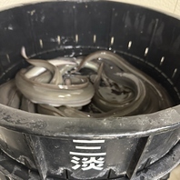 地元愛知県の三河一色産の特大うなぎを使用